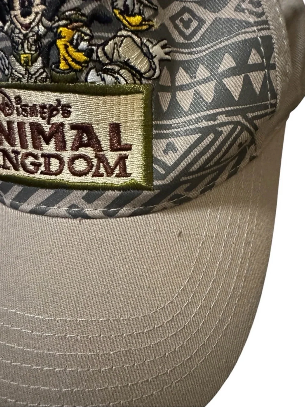 Disney youth safari